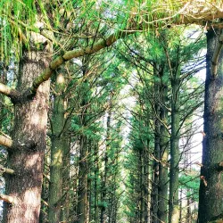 Veterans Acres Park - Crystal Lake