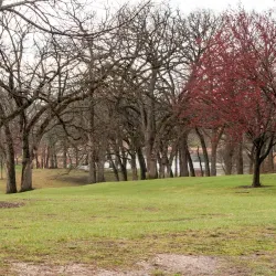 Veterans Acres Park - Crystal Lake