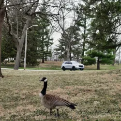 Fairview Park - Decatur