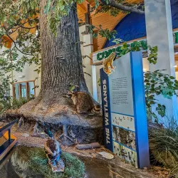 Rock Springs Nature Center - Decatur