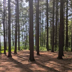 Rock Springs Nature Center - Decatur