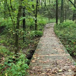Rock Springs Nature Center - Decatur