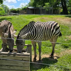 Scovill Zoo - Decatur