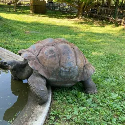 Scovill Zoo - Decatur