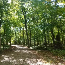 Cook County Forest Preserves - Deerfield Area - Deerfield