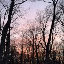 Cook County Forest Preserves - Deerfield Area - Deerfield
