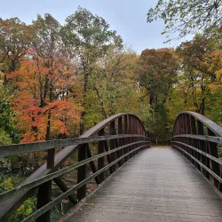 Cook County Forest Preserves - Deerfield Area - Deerfield