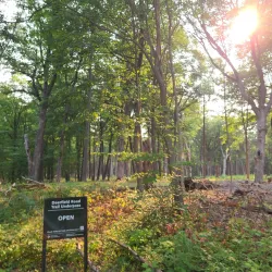 Cook County Forest Preserves - Deerfield Area - Deerfield
