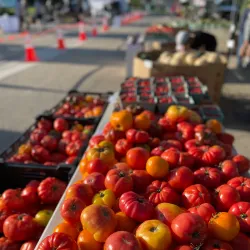 Deerfield Farmers Market - Deerfield