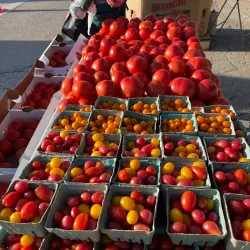 Deerfield Farmers Market - Deerfield