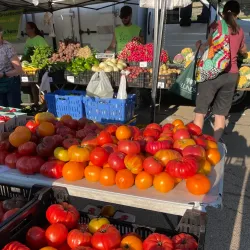Deerfield Farmers Market - Deerfield