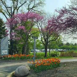 Deerfield Golf Club - Deerfield