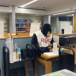 Deerfield Public Library - Deerfield