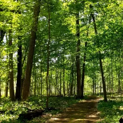 Edward L. Ryerson Conservation Area - Deerfield