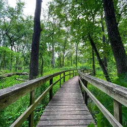 Edward L. Ryerson Conservation Area - Deerfield
