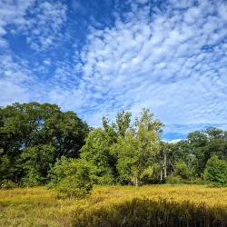 Edward L. Ryerson Conservation Area - Deerfield