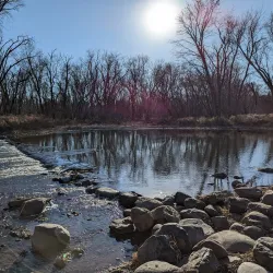 Edward L. Ryerson Conservation Area - Deerfield