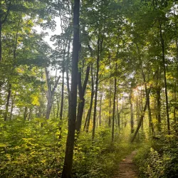 Edward L. Ryerson Conservation Area - Deerfield