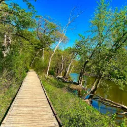 Edward L. Ryerson Conservation Area - Deerfield