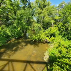 Sycamore Forest Preserve - DeKalb
