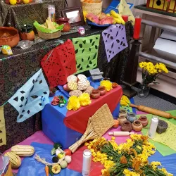 Des Plaines History Center - Des Plaines