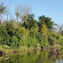 Des Plaines River Trail - Des Plaines