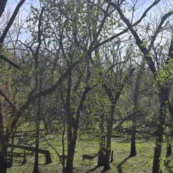 Des Plaines River Trail - Des Plaines