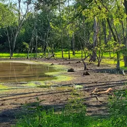 Des Plaines River Trail - Des Plaines