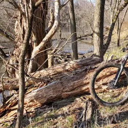 Des Plaines River Trail - Des Plaines