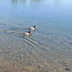 Lake Park - Des Plaines