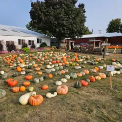 Tanner's Orchard - Des Plaines