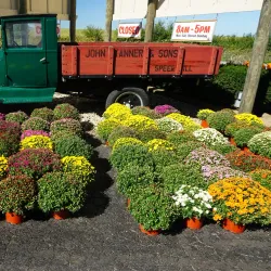 Tanner's Orchard - Des Plaines