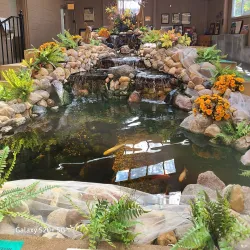 Tanner's Orchard - Des Plaines