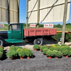 Tanner's Orchard - Des Plaines