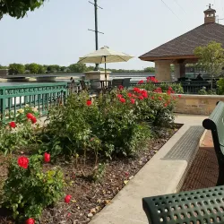 Dixon Riverfront Park - Dixon