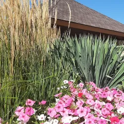 Dixon Riverfront Park - Dixon