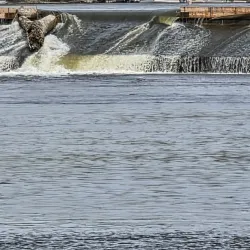 Dixon Riverfront Park - Dixon