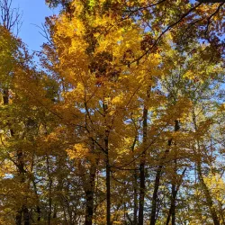 Lowden State Park - Dixon