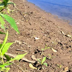 Rock River Recreation Path - Dixon