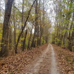 Weldon Spring Conservation Area - East St Louis