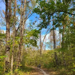 Weldon Spring Conservation Area - East St Louis