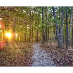 Weldon Spring Conservation Area - East St Louis