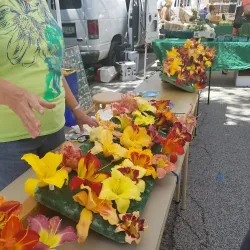 Edwardsville Farmers Market - Edwardsville