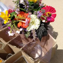 Edwardsville Farmers Market - Edwardsville