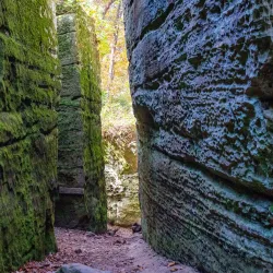 Giant City State Park - Edwardsville