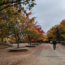 SIUE (Southern Illinois University Edwardsville) Campus - Edwardsville