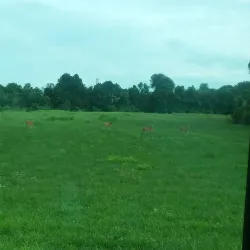 SIUE (Southern Illinois University Edwardsville) Campus - Edwardsville