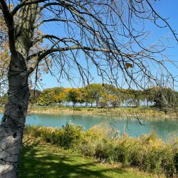 Northwestern University - Evanston