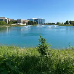 Northwestern University - Evanston