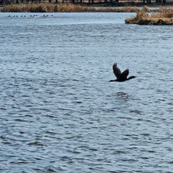 Fox River Grove Marina - Fox River Grove